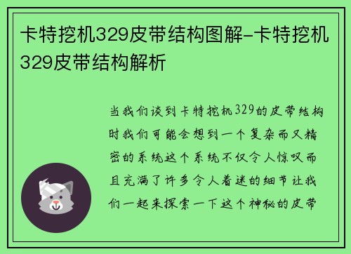 卡特挖机329皮带结构图解-卡特挖机329皮带结构解析